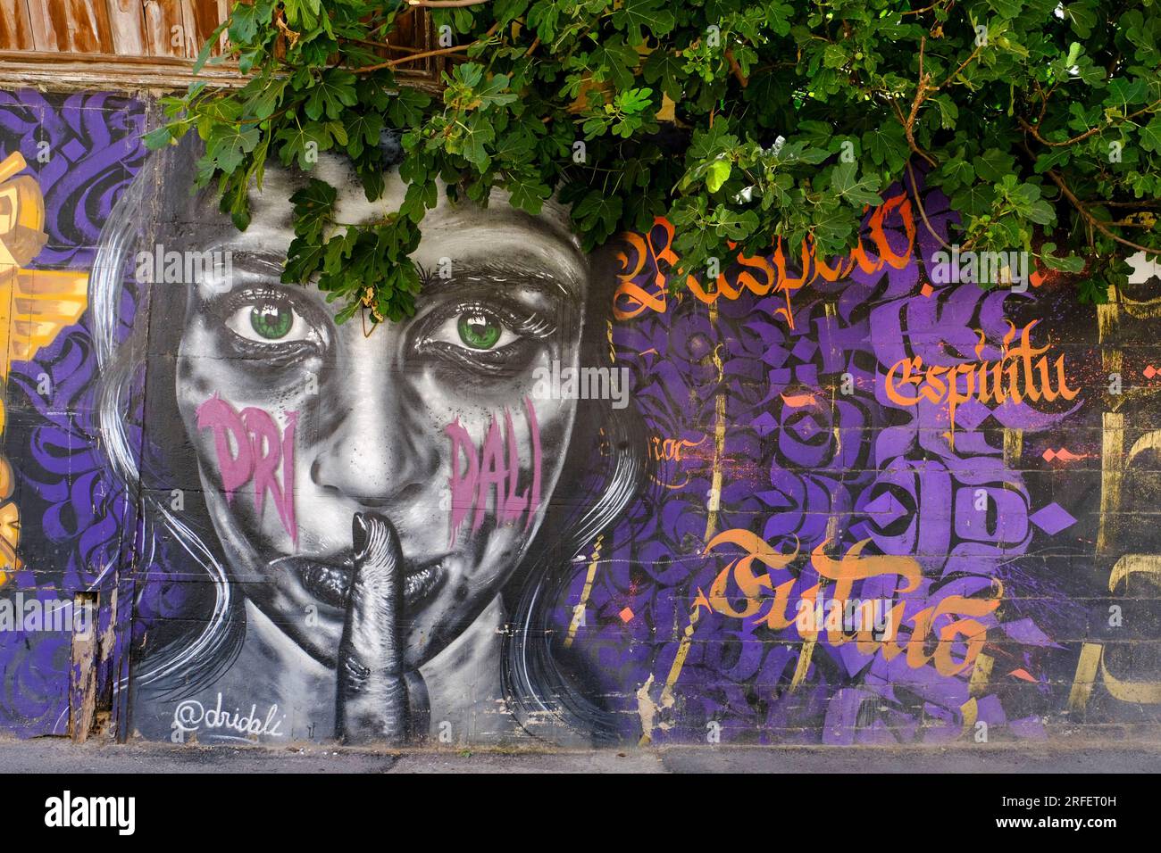 Spagna, Valencia, barrio del Carmen, arte di strada Foto Stock