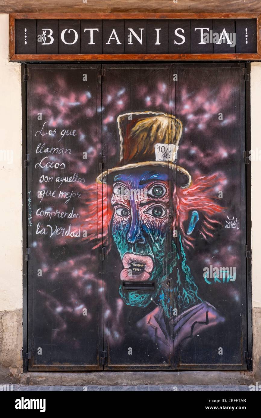 Spagna, Valencia, barrio del Carmen, arte di strada Foto Stock