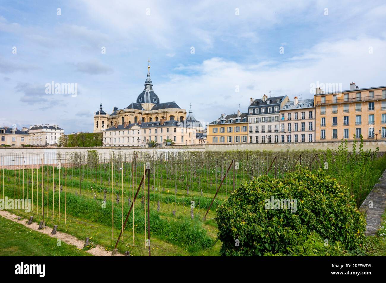 Francia, Yvelines, Versailles, patrimonio dell'umanità dell'UNESCO, l'orto del re, creato nel 1683 da Jean-Baptiste de la Quintinie, Cattedrale di Saint Louis sullo sfondo Foto Stock