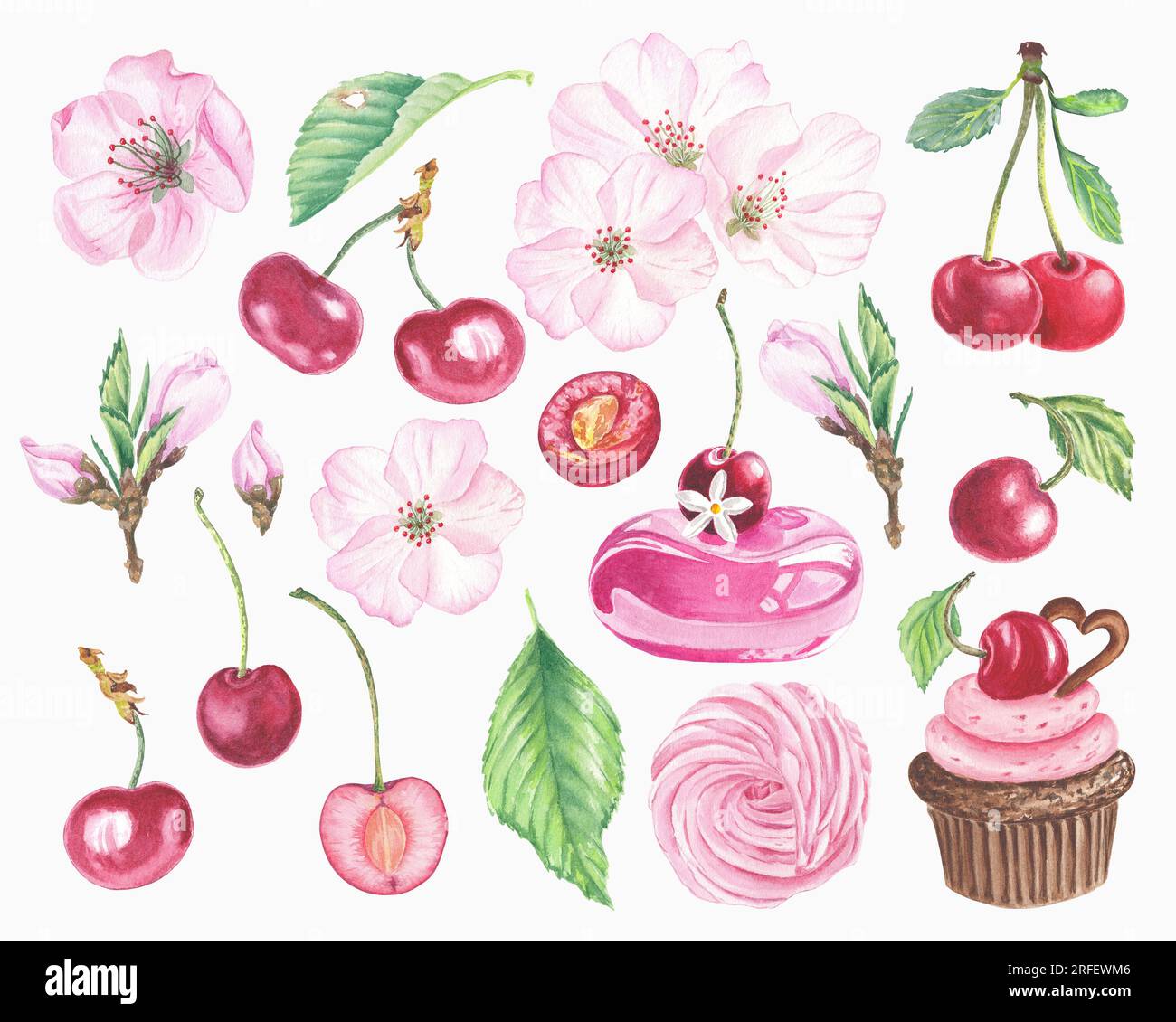 Clipart color ciliegia, torta di ciliegie isolata su sfondo bianco, frutta. Elementi acquerello e illustrazioni botaniche grafiche per la progettazione artistica Foto Stock