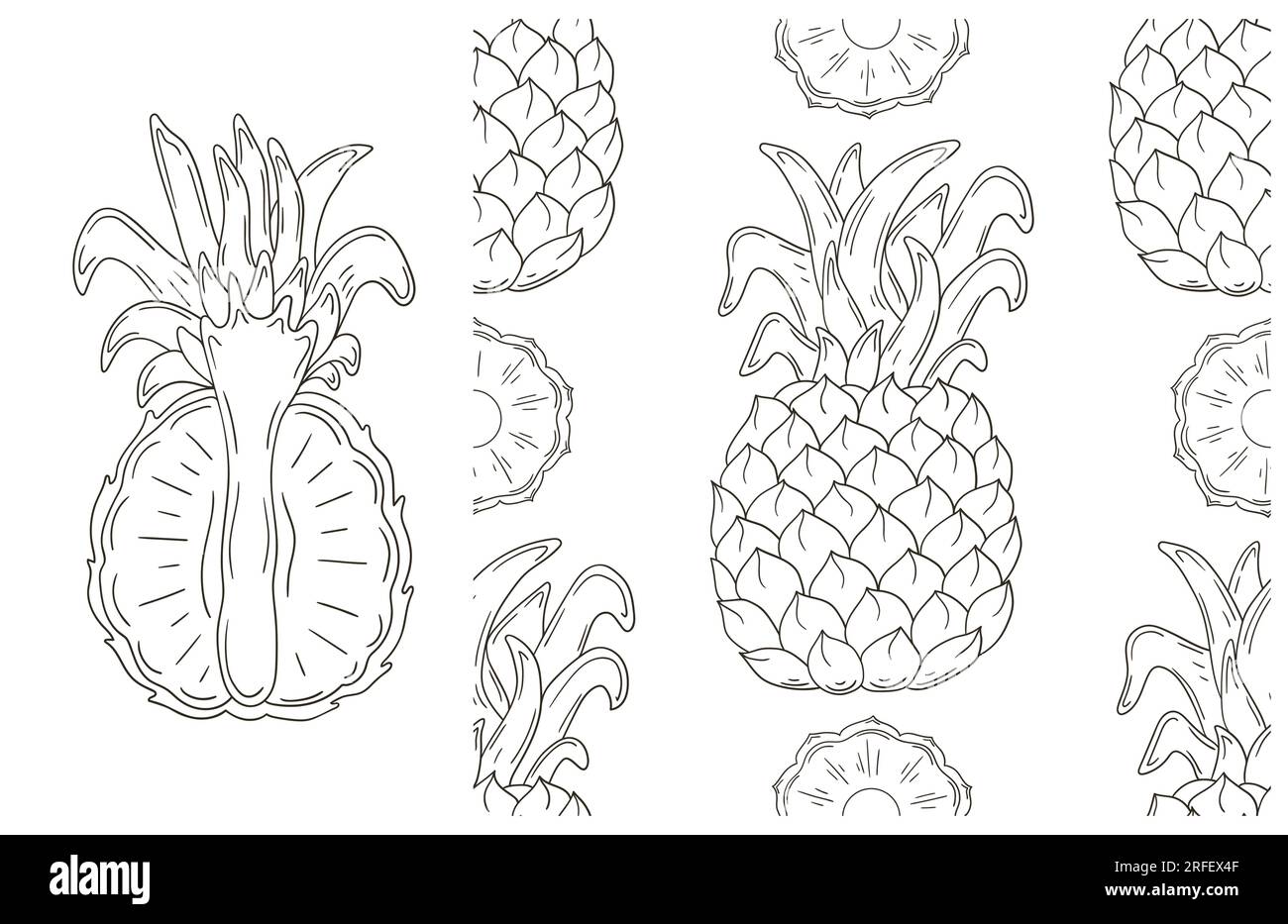 Colorazione con frutta tropicale. Con stile disegnato a mano. Ananas. Può essere utilizzato per tessuti, imballaggi, confezionamenti e così via Illustrazione Vettoriale