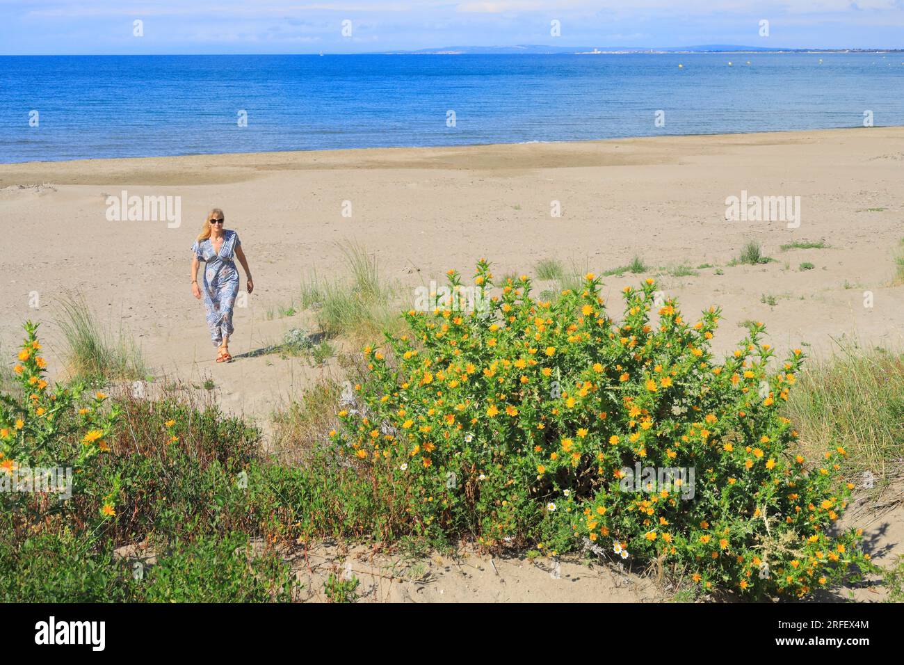 Francia, Herault, Agde, la Tamarissiere, spiaggia affacciata sul Mar Mediterraneo Foto Stock