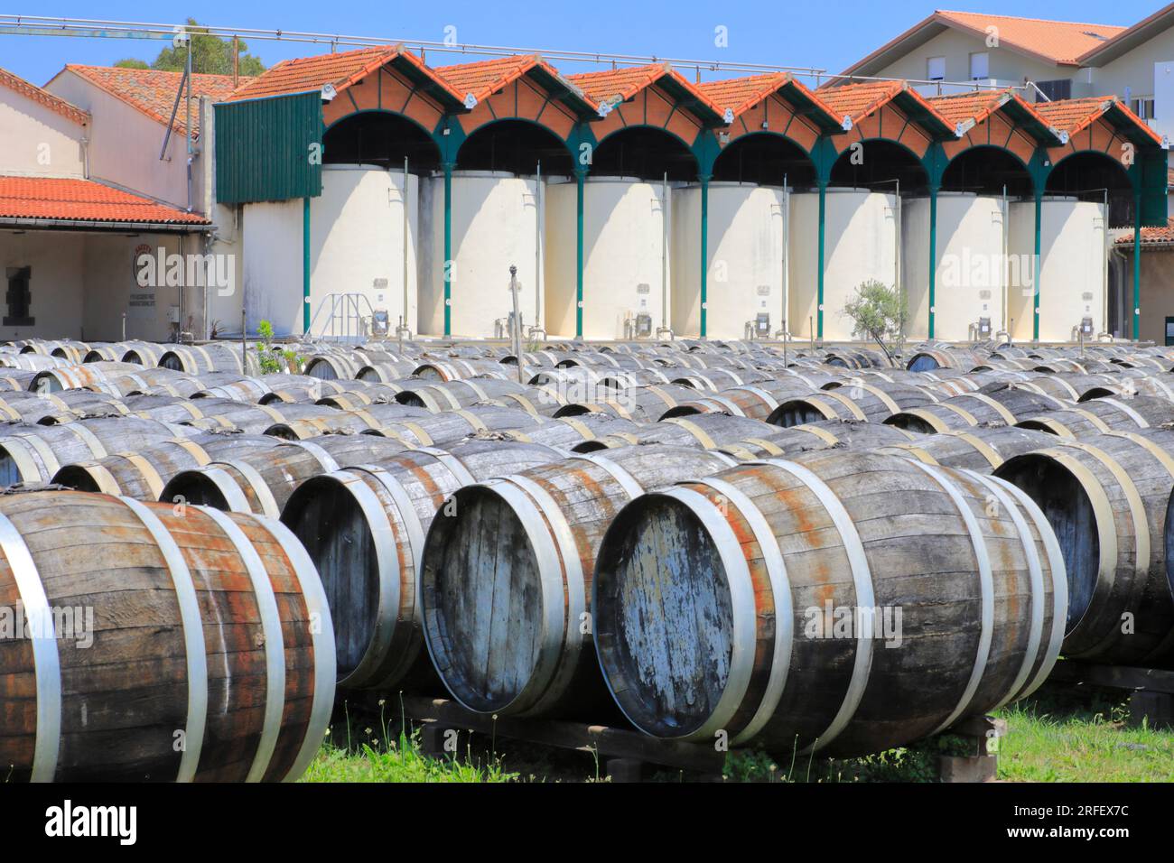 Francia, Herault, Marseillan, Noilly Prat (vermouth francese prodotto con vino bianco macerato con erbe e spezie dal 1813), invecchiamento di vini bianchi secchi all'aperto per un anno a l'Enclos Foto Stock