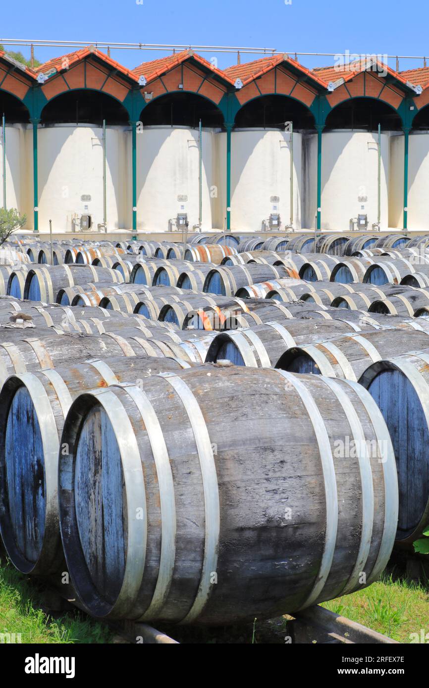 Francia, Herault, Marseillan, Noilly Prat (vermouth francese prodotto con vino bianco macerato con erbe e spezie dal 1813), invecchiamento di vini bianchi secchi all'aperto per un anno a l'Enclos Foto Stock