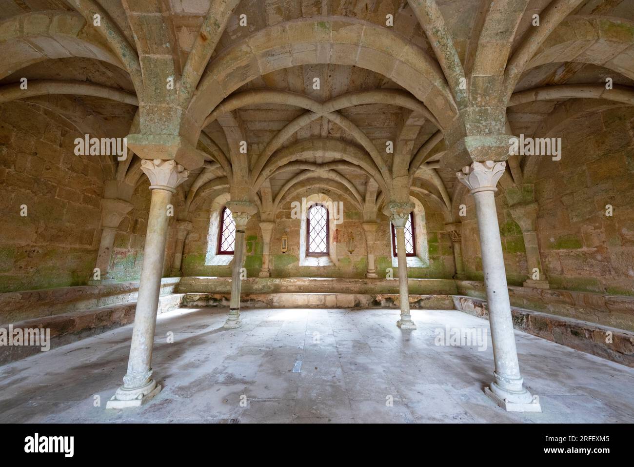 Francia, Aude (11), Narbonne, abbazia di Fontfroide, casa capitolare Foto Stock