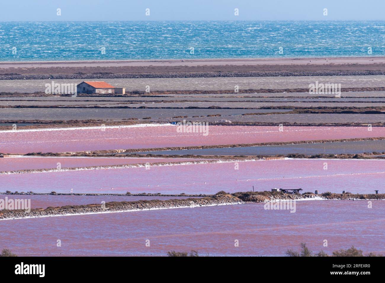 Francia, Aude, Parco naturale regionale di Narbonnaise nel Mediterraneo, Gruissan, salina di Gruissan Foto Stock