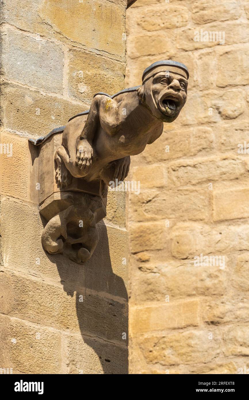 Francia, Aude, Carcassonne, gargoyle, cattedrale di Saint Michel Foto Stock