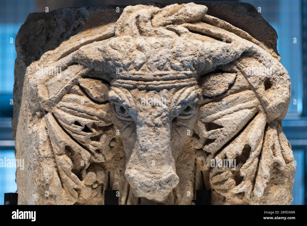 Francia, Aude, Narbonne, Narbo via Museum, Museo Archeologico progettato dall'architetto Norman Foster, muro lapidario che presenta blocchi scolpiti del periodo romano di Narbona, ghirlanda appesa a un protome di un toro Foto Stock