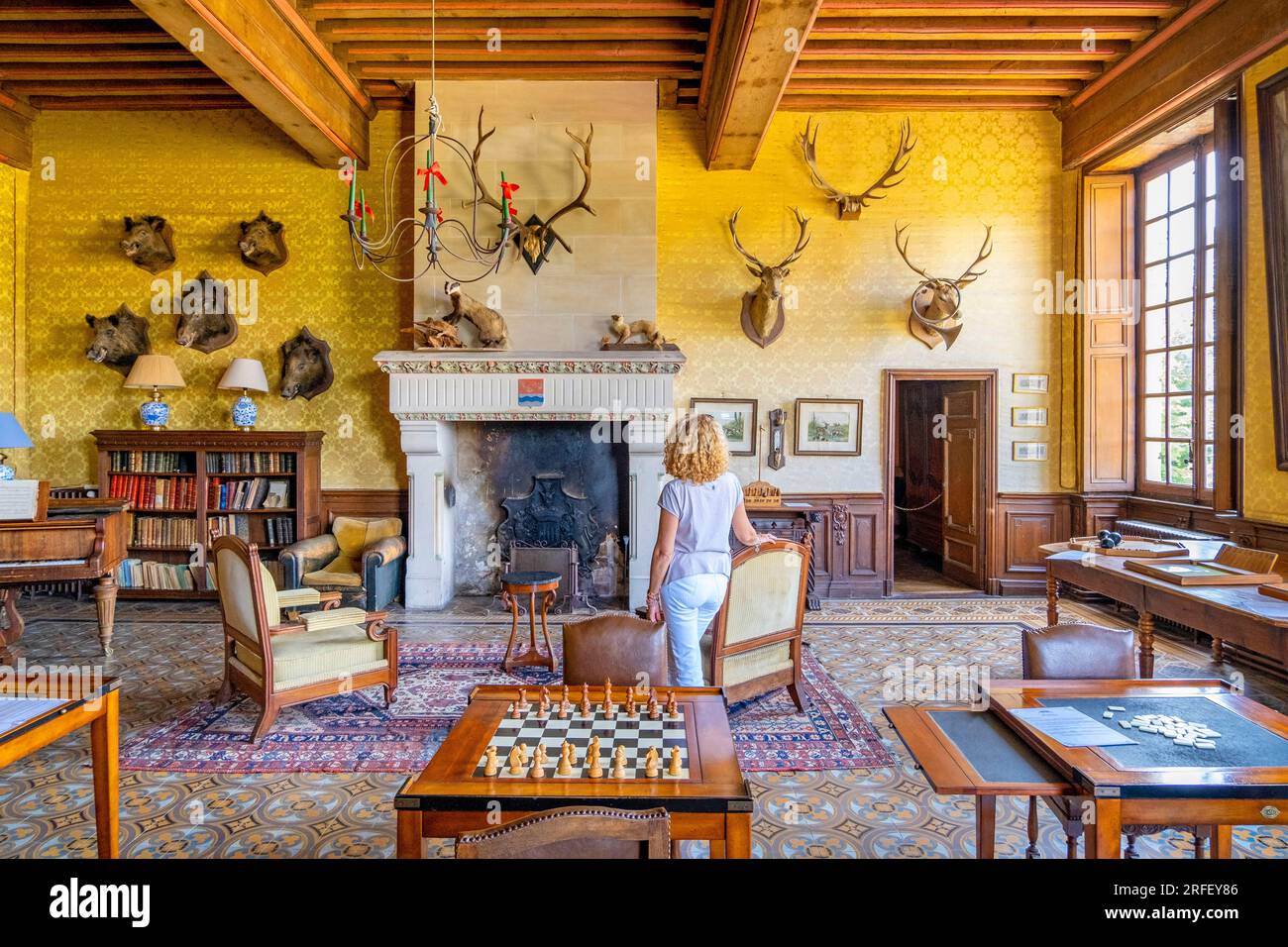 Francia, Loiret, Sologne, Castelli della Loira, castello di la Ferte Saint Aubin, ampio soggiorno Foto Stock