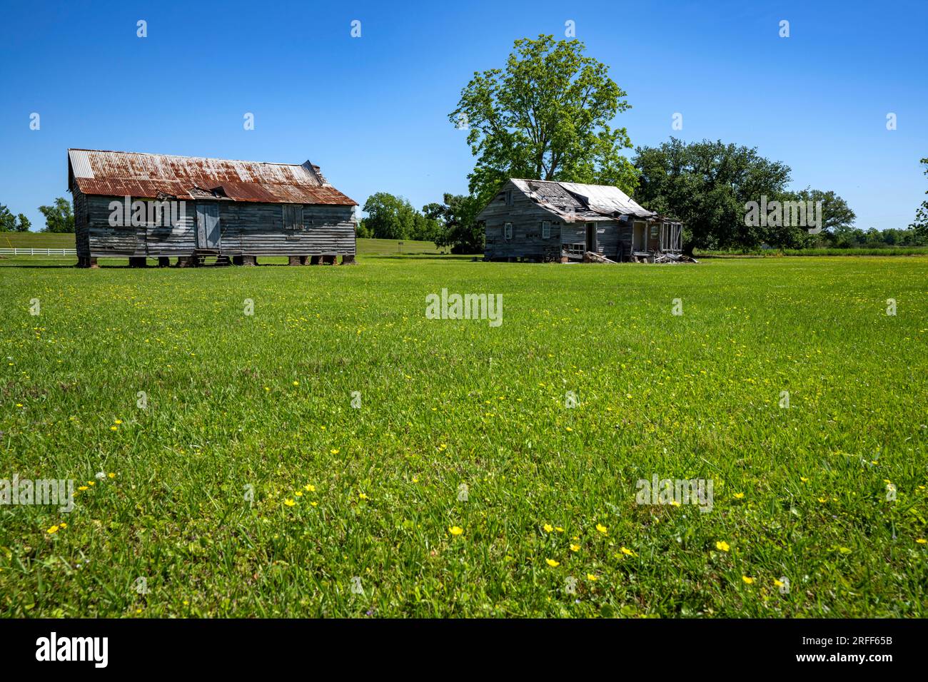 Stati Uniti, Louisiana, Vacherie, casa antebellica, piantagione Oak Alley, ex schiavi Foto Stock