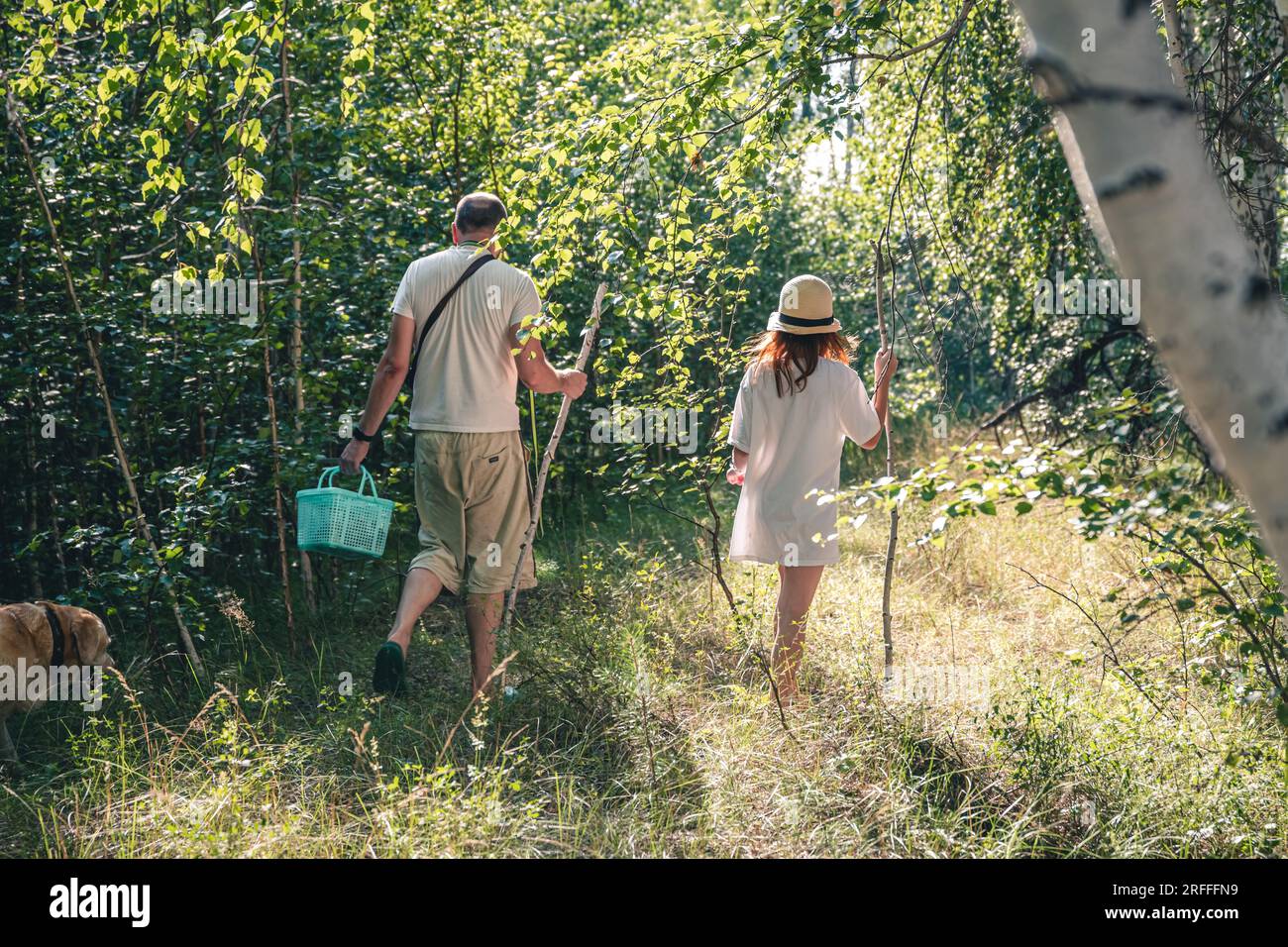 Raccoglitori di funghi papà con sua figlia con bastoni nella foresta in cerca di funghi Foto Stock