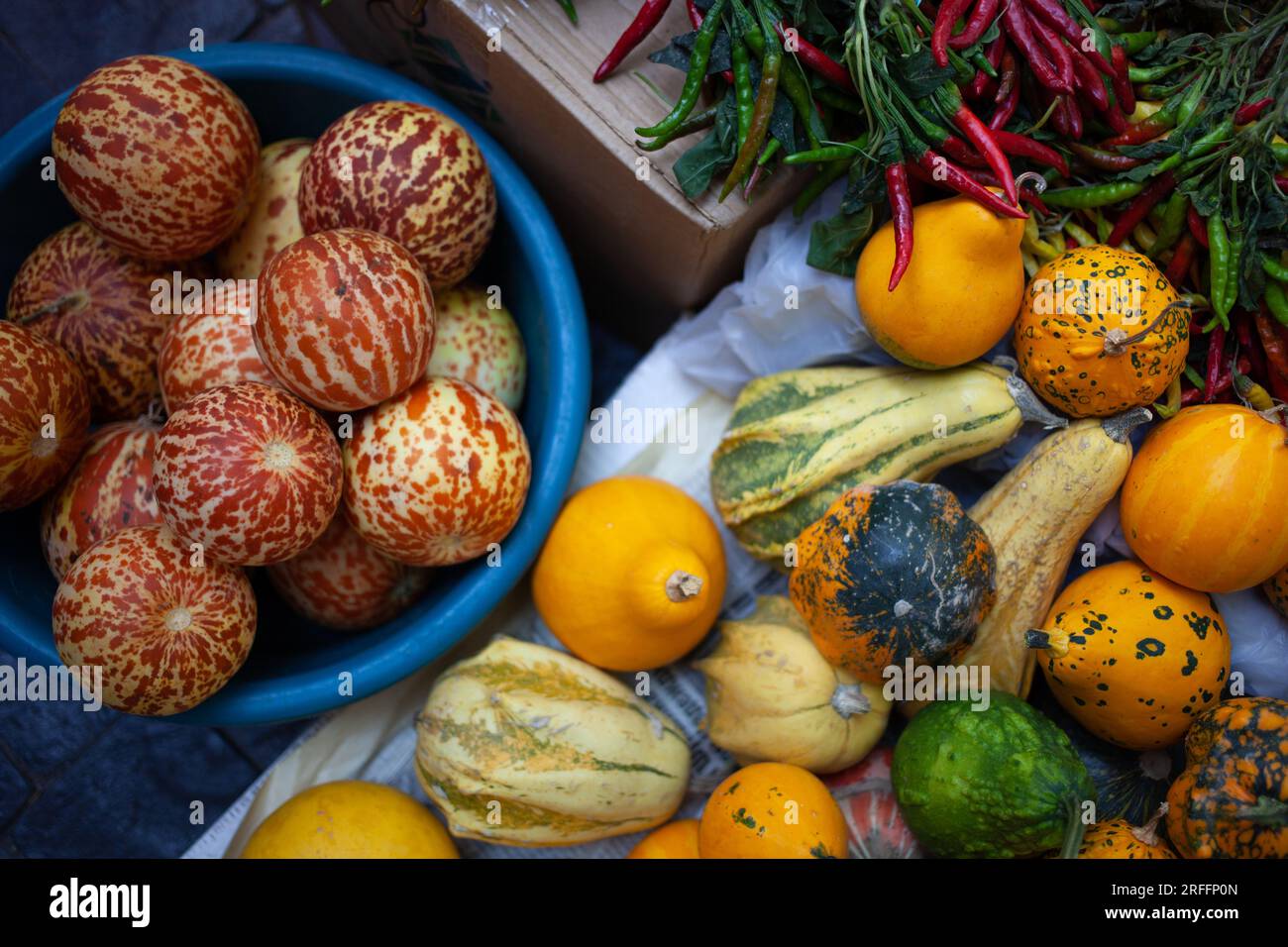 Frutta e verdura su un mercato. Natura morta con zucche, meloni, pepe piccante Foto Stock