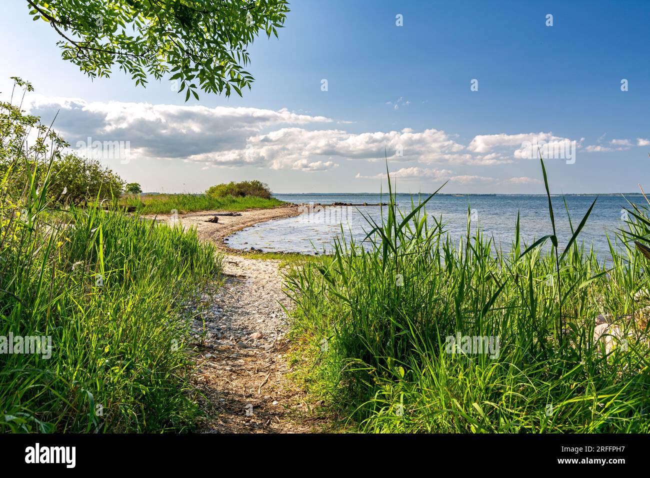 Sentiero panoramico lungo il Mar Baltico nella Germania settentrionale Foto Stock