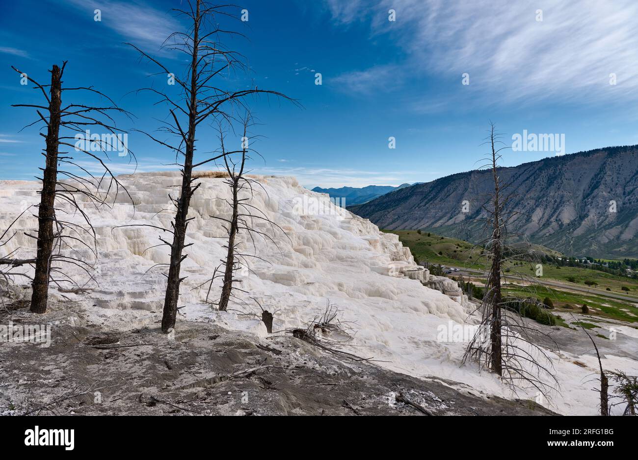 Canary Spring, Mammoth Hot Springs, Yellowstone National Park, Wyoming, Stati Uniti d'America Foto Stock