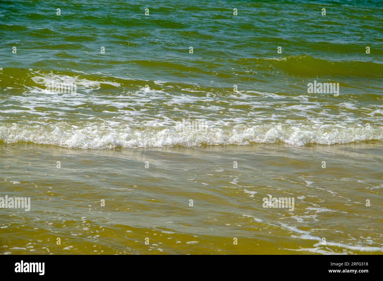 Piccole onde sulla riva del Mar Baltico in Lettonia Foto Stock