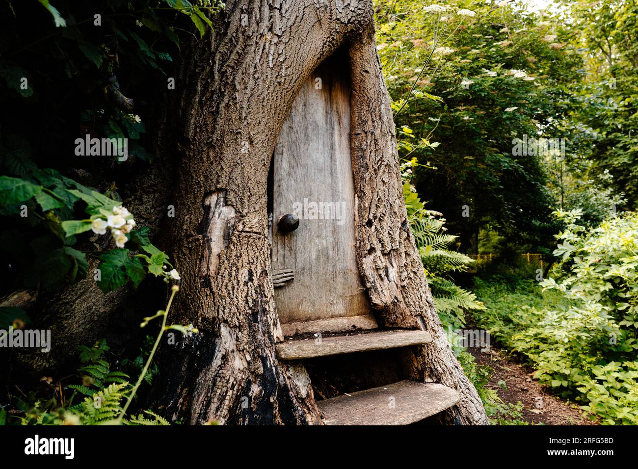 Le porte delle fate scolpite in legno nel tronco degli alberi a Northumberland Park, North Shields e Tynemouth, North Tyneside, Inghilterra Foto Stock