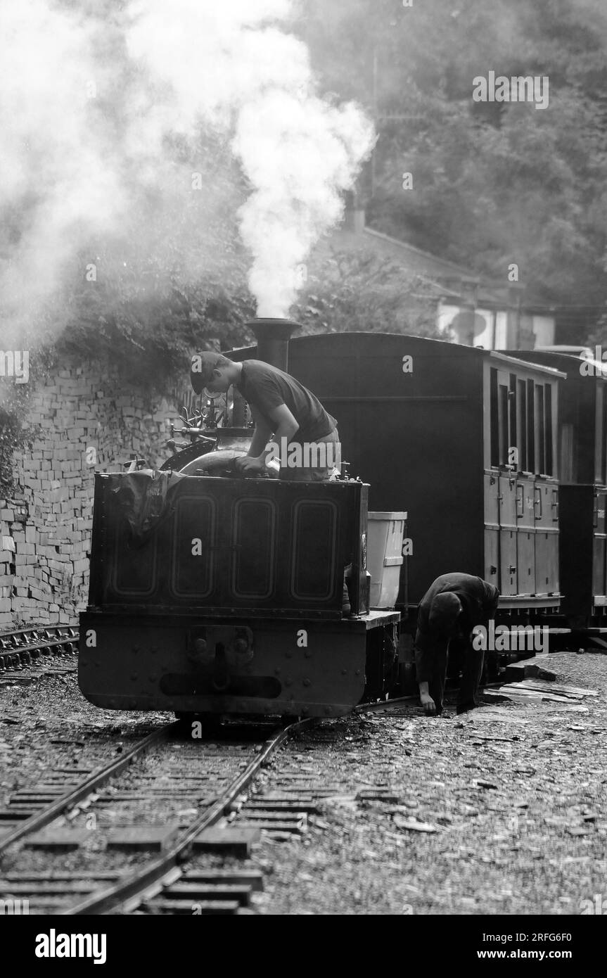 "Hugh Napier" che sta deviando a Felin Fawr. Foto Stock