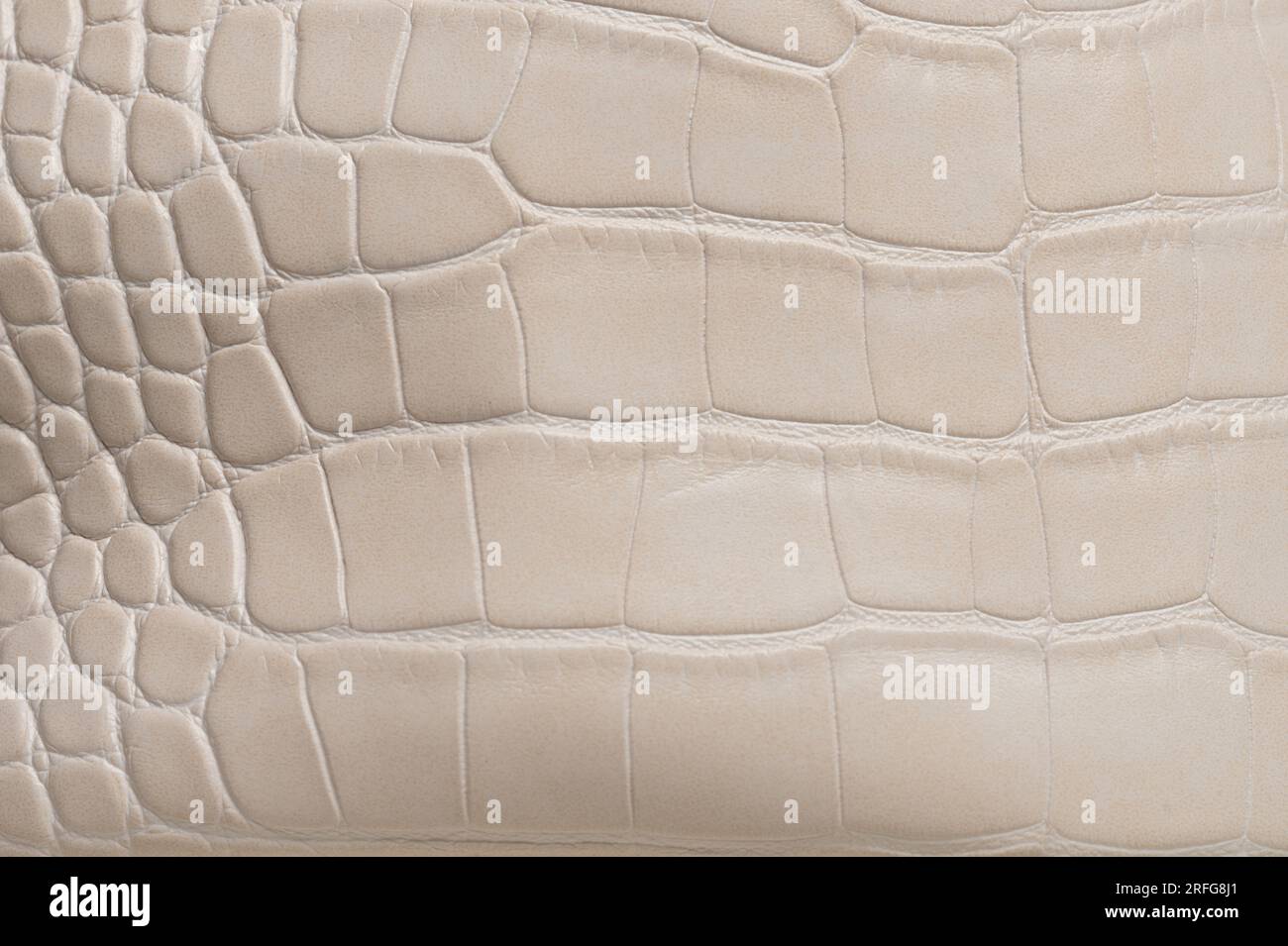 Vista ravvicinata macro dello sfondo in pelle serpente ruvida Foto Stock