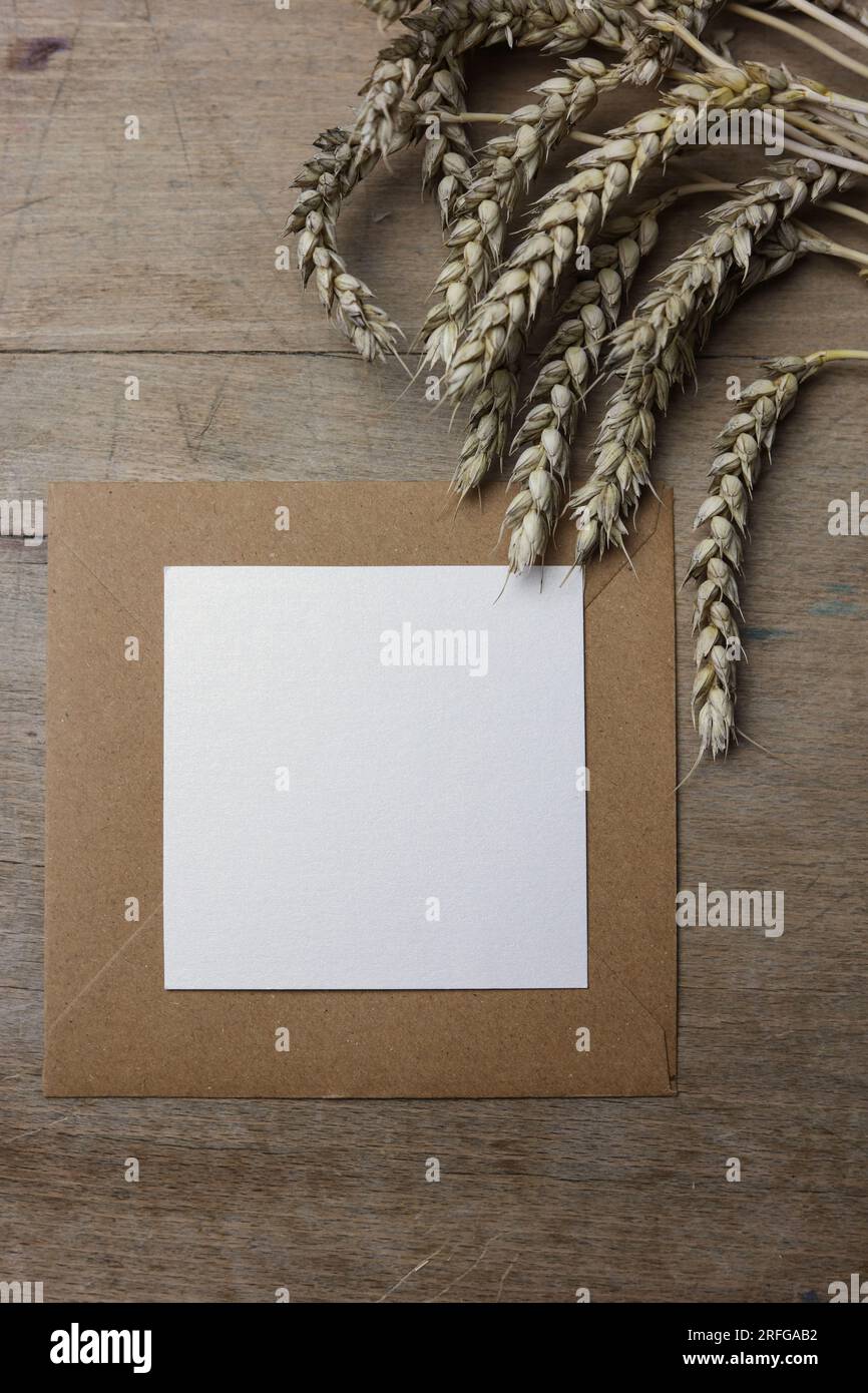 carta bianca per note su una busta marrone con orecchie di grano su fondo di legno Foto Stock