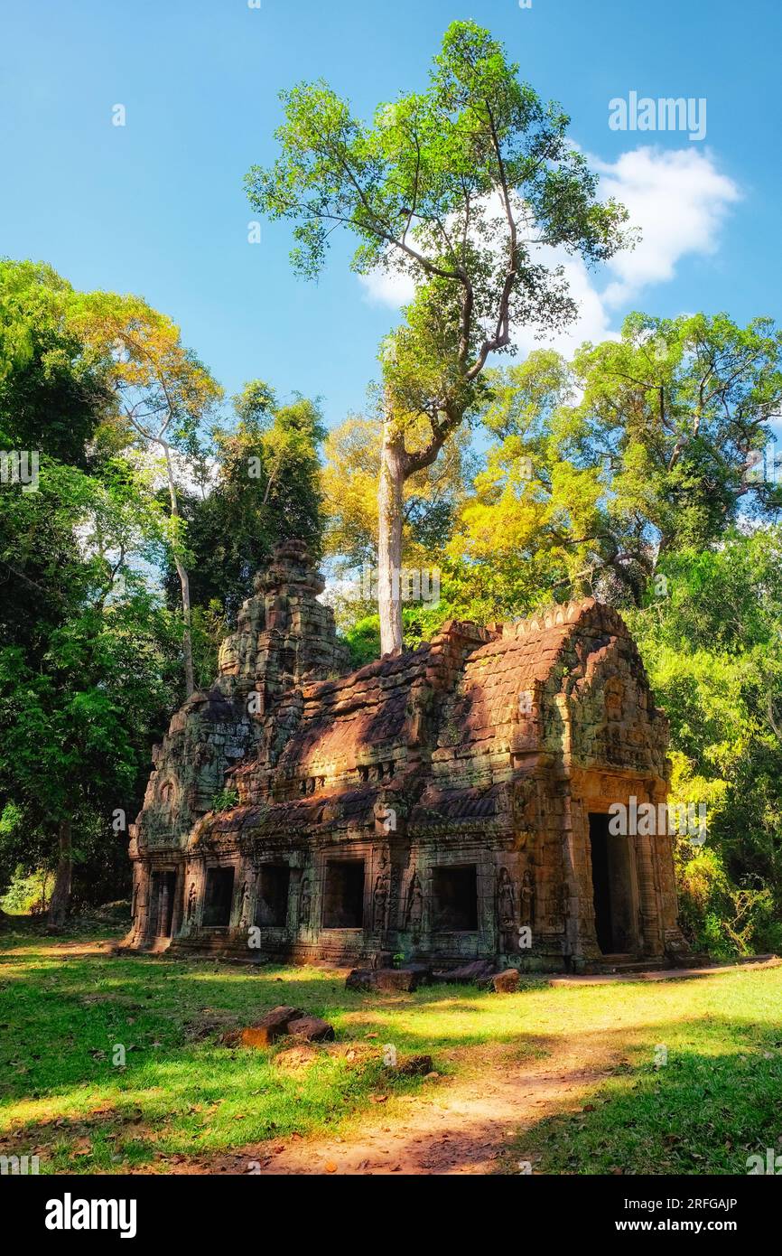 Bonifiche naturali: Un vecchio edificio Khmer abbandonato circondato dalla foresta cambogiana, una meraviglia medievale dell'architettura asiatica, un tempo una casa. Foto Stock