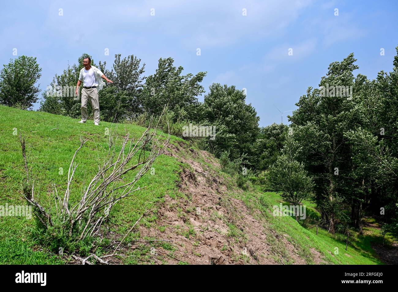 (230803) -- TONGLIAO, 3 agosto 2023 (Xinhua) -- Bai Shun parla della sua esperienza di controllo della sabbia su un prato a Bulteger Gacha, Horqin Left Wing Rear Banner of Tongliao City, regione autonoma della Mongolia interna della Cina settentrionale, 2 agosto 2023. Situato nel centro della Horqin Sandy Land, Bulteger Gacha, un piccolo villaggio nella bandiera posteriore dell'ala sinistra di Horqin della città di Tongliao, soffriva di desertificazione. Dal 2002, Bai Shun, un contadino mongolo locale, ha portato la sua famiglia a radicare in questo villaggio e a dedicarsi al controllo della desertificazione. Il tasso di sopravvivenza degli alberi piantati era basso a. Foto Stock