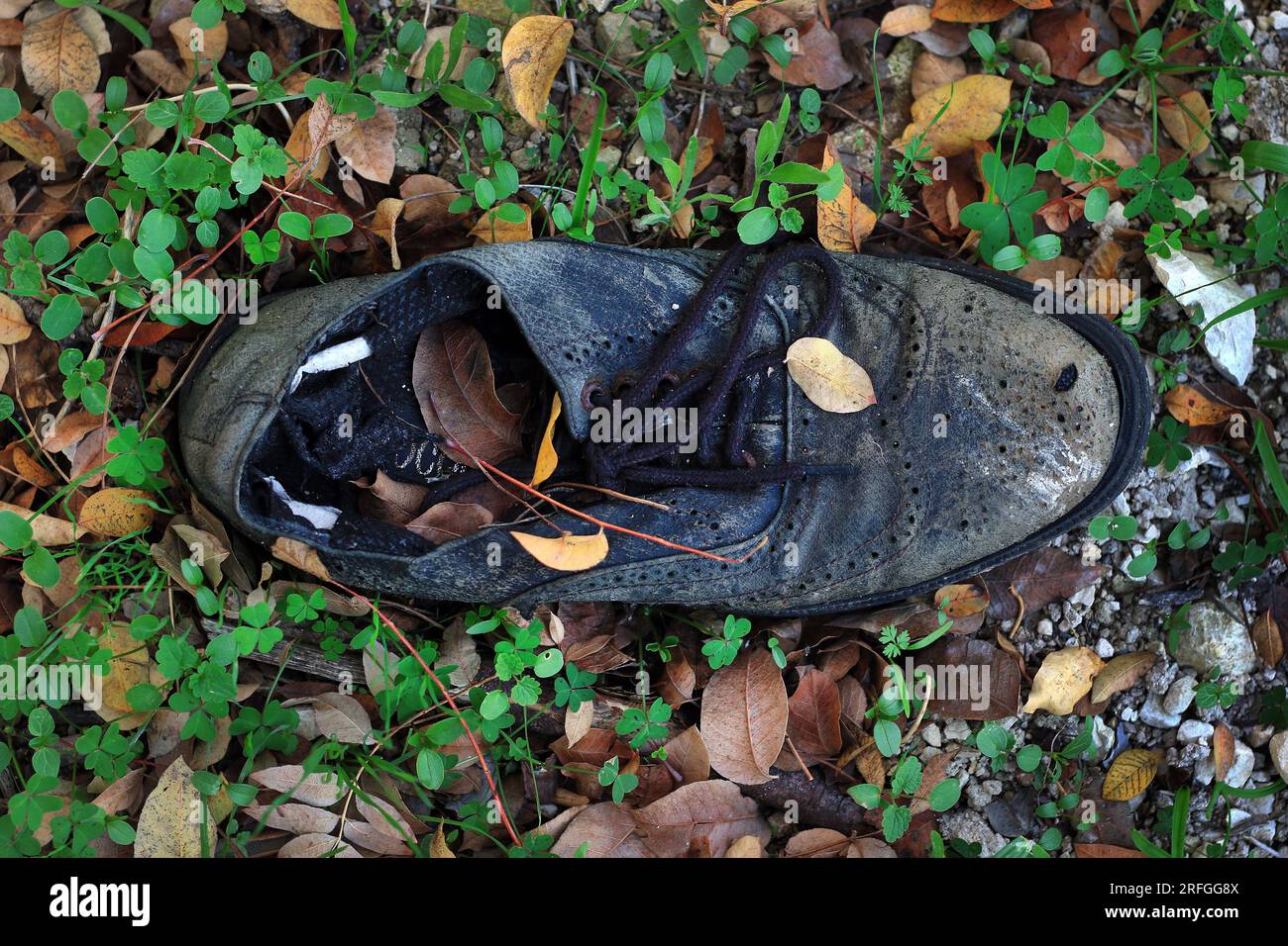 Una vecchia scarpa strappata gettata via nella foresta coperta di foglie cadute. Foto Stock