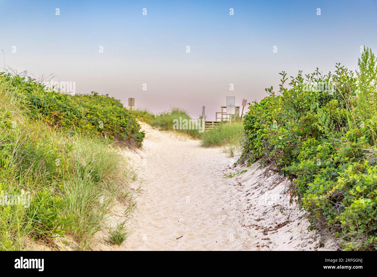 attraversa le dune fino alla spiaggia oceanica di montauk Foto Stock