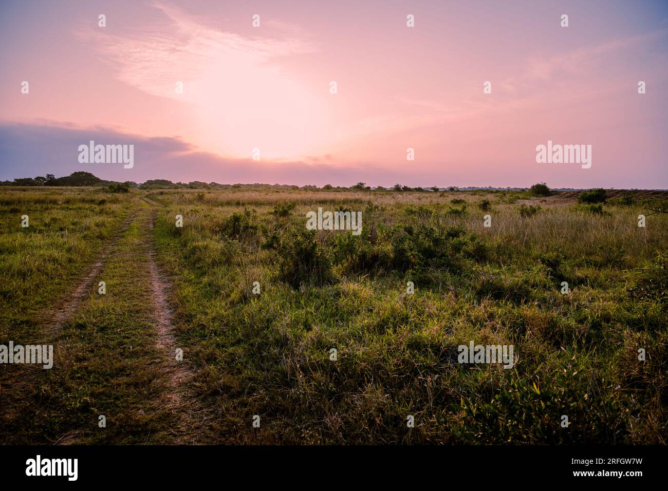 Phinda Game Reserve, Sudafrica - 2 maggio 2023. Il sole esce da dietro le nuvole per bagnare la pianura africana alla luce. Foto Stock