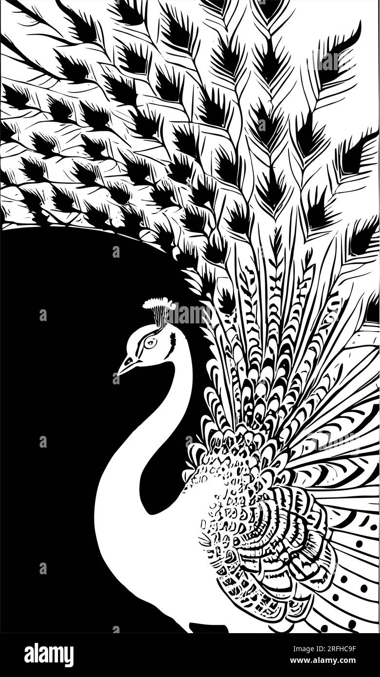 disegno bianco stilizzato di contorno di un pavone su sfondo nero, grafica monocromatica, design Foto Stock