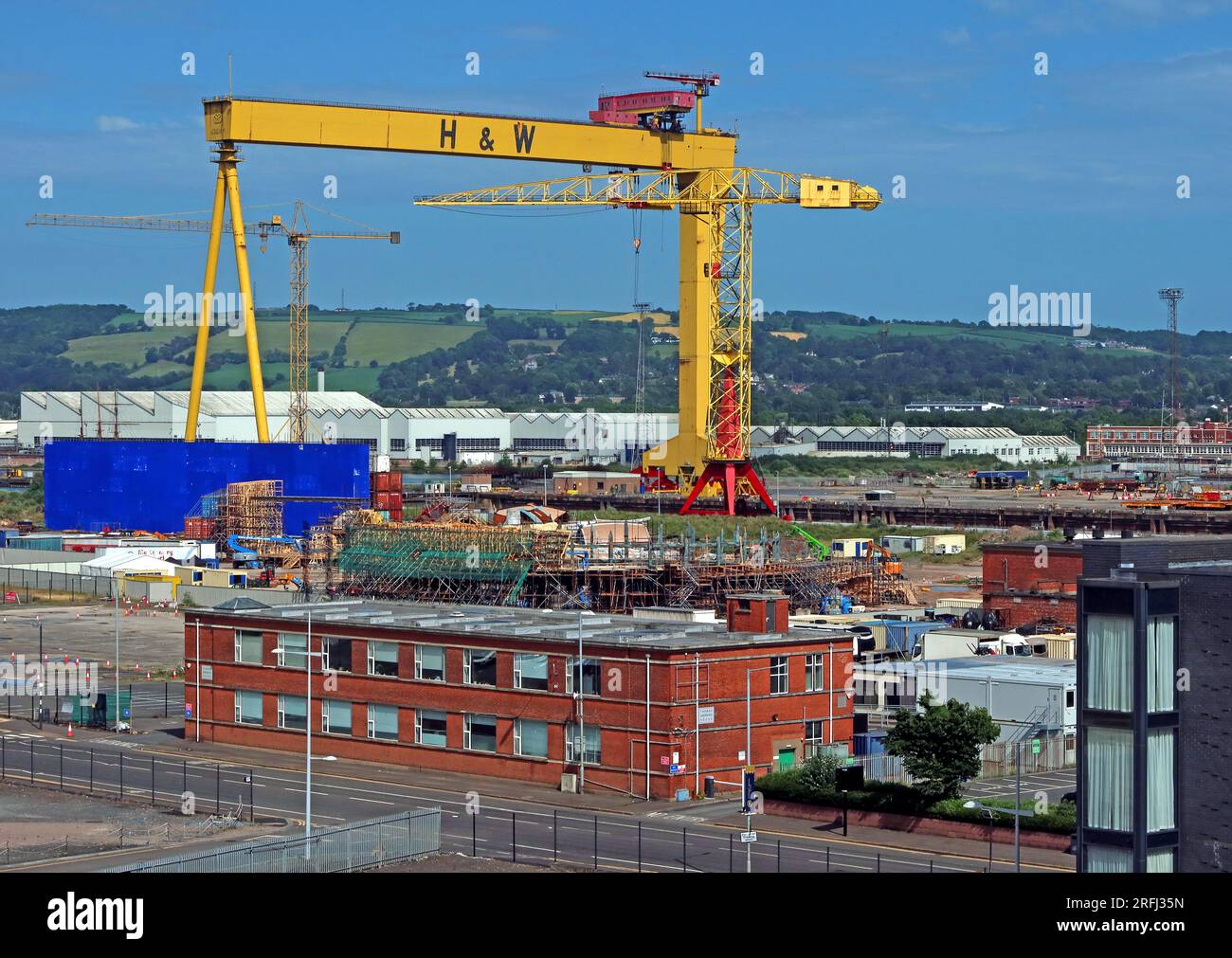 Gru gialle Harland e Wolff, nei cantieri navali, Samson & Goliath, Queen's Island, Belfast, Irlanda del Nord, Regno Unito, BT3 9EU Foto Stock