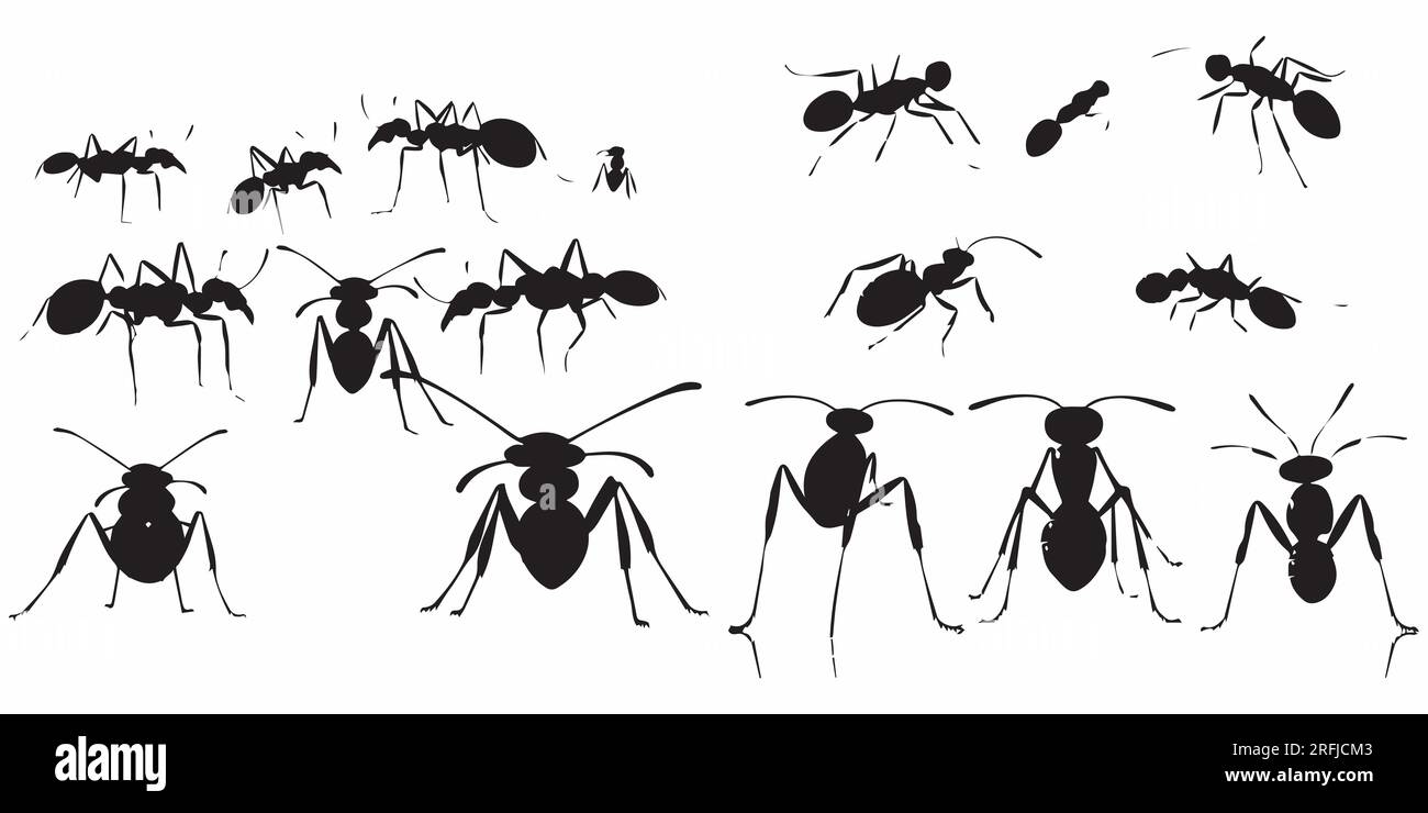 Una serie di illustrazioni vettoriali silhouette Ant Illustrazione Vettoriale