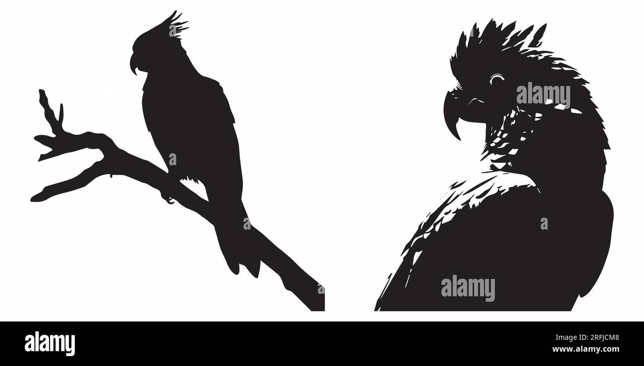 Figura vettoriale con silhouette nera Illustrazione Vettoriale Figura vettoriale con silhouette nera Illustrazione Vettoriale