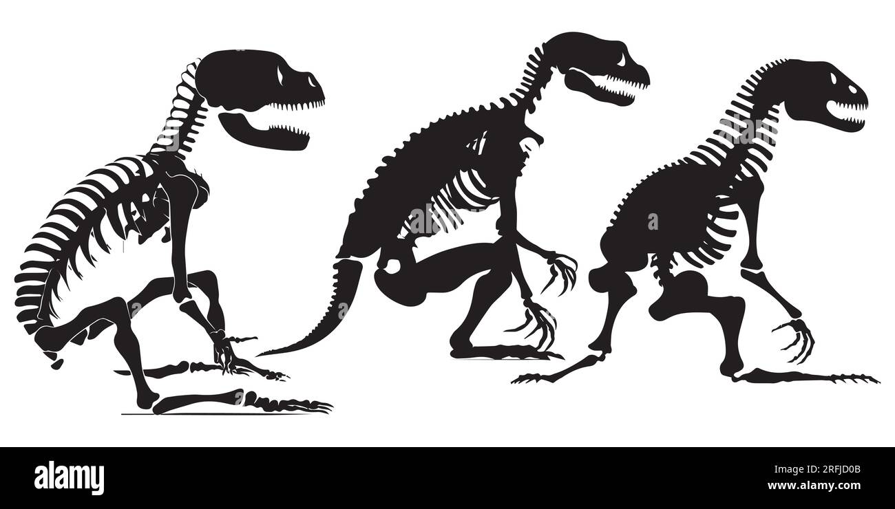 Serie di illustrazioni vettoriali del cranio del dinosauro della silhouette Illustrazione Vettoriale