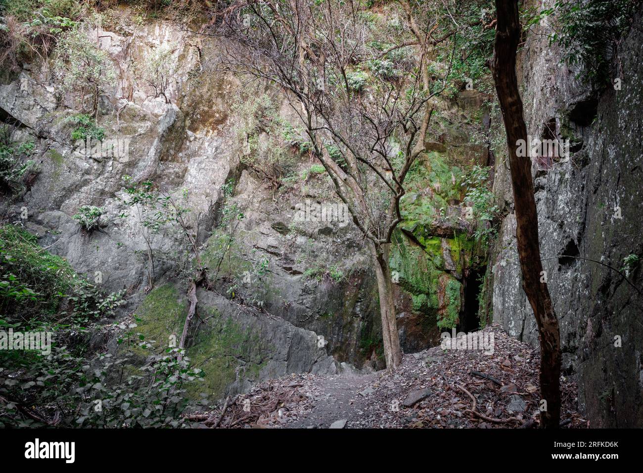 Daddy Watson's Cave si trova a Blehiem, nell'isola meridionale della nuova Zelanda Foto Stock