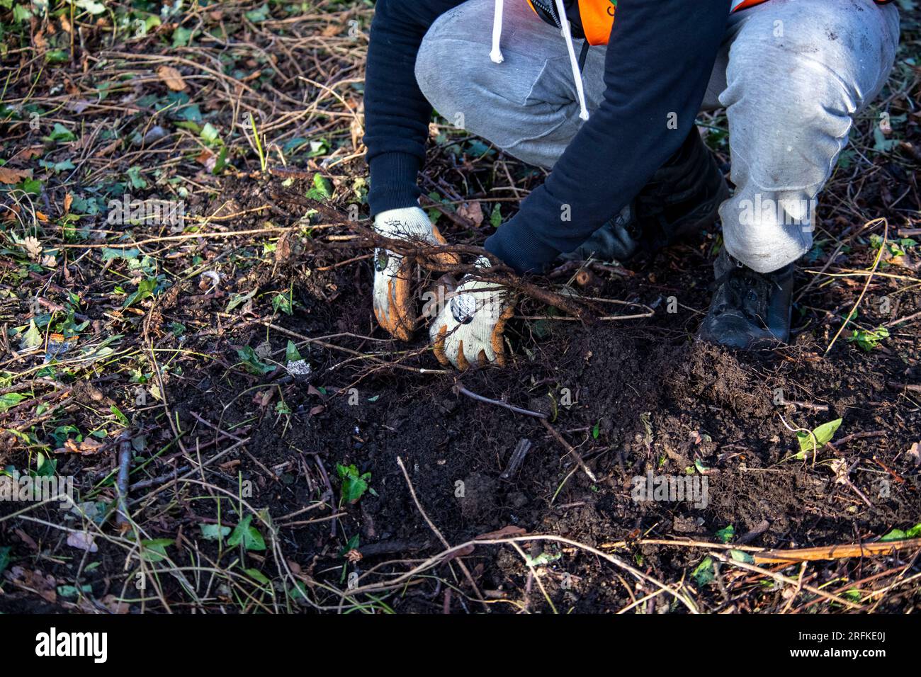 Pulizia e liquidazione dei rimborsi della comunità Foto Stock