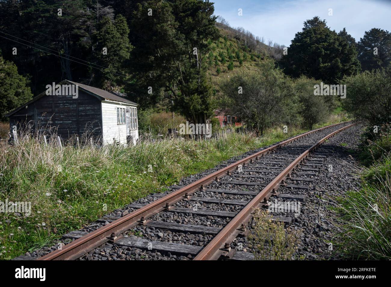 Ferrovia dismessa vicino a Whangamomona, North Island, nuova Zelanda Foto Stock