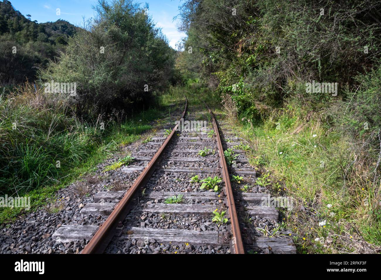 Ferrovia dismessa vicino a Whangamomona, North Island, nuova Zelanda Foto Stock