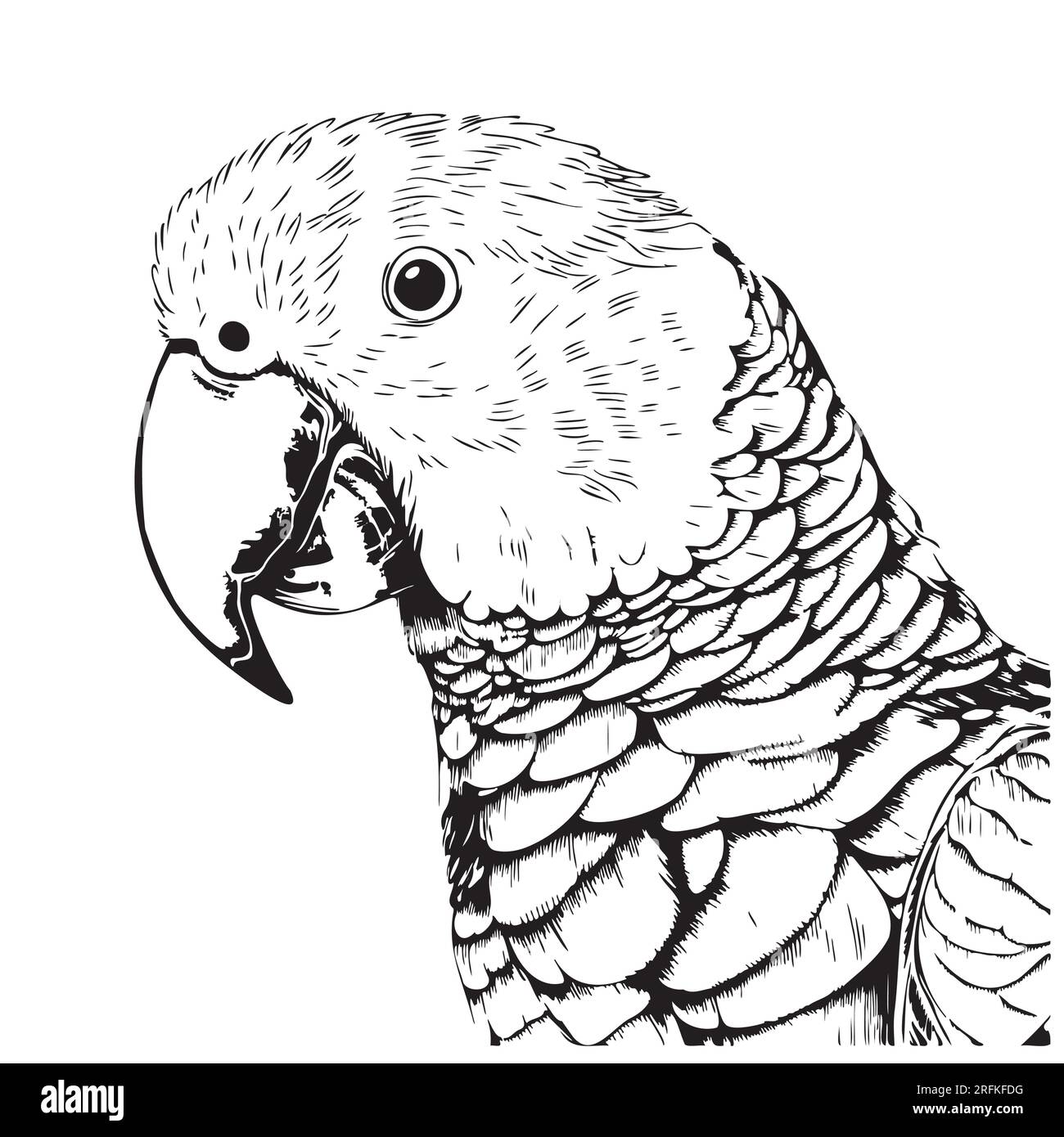 Bella testa di pappagallo disegnata a mano Bird Vector Illustrazione Vettoriale