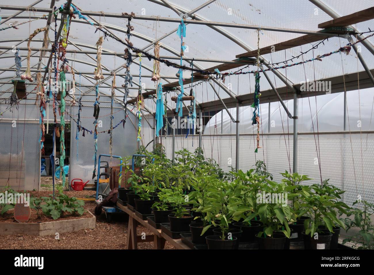 Community Garden & Green Spaces: Lo Story Garden occupa un acro di terreno coltivato nel centro di Londra, dove i residenti coltivano frutta e verdura. Foto Stock