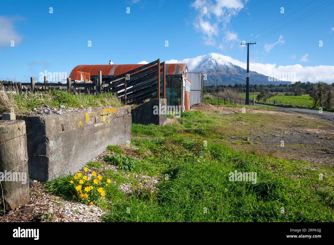 Fattoria e Monte Taranaki, Isola del Nord, nuova Zelanda Foto Stock