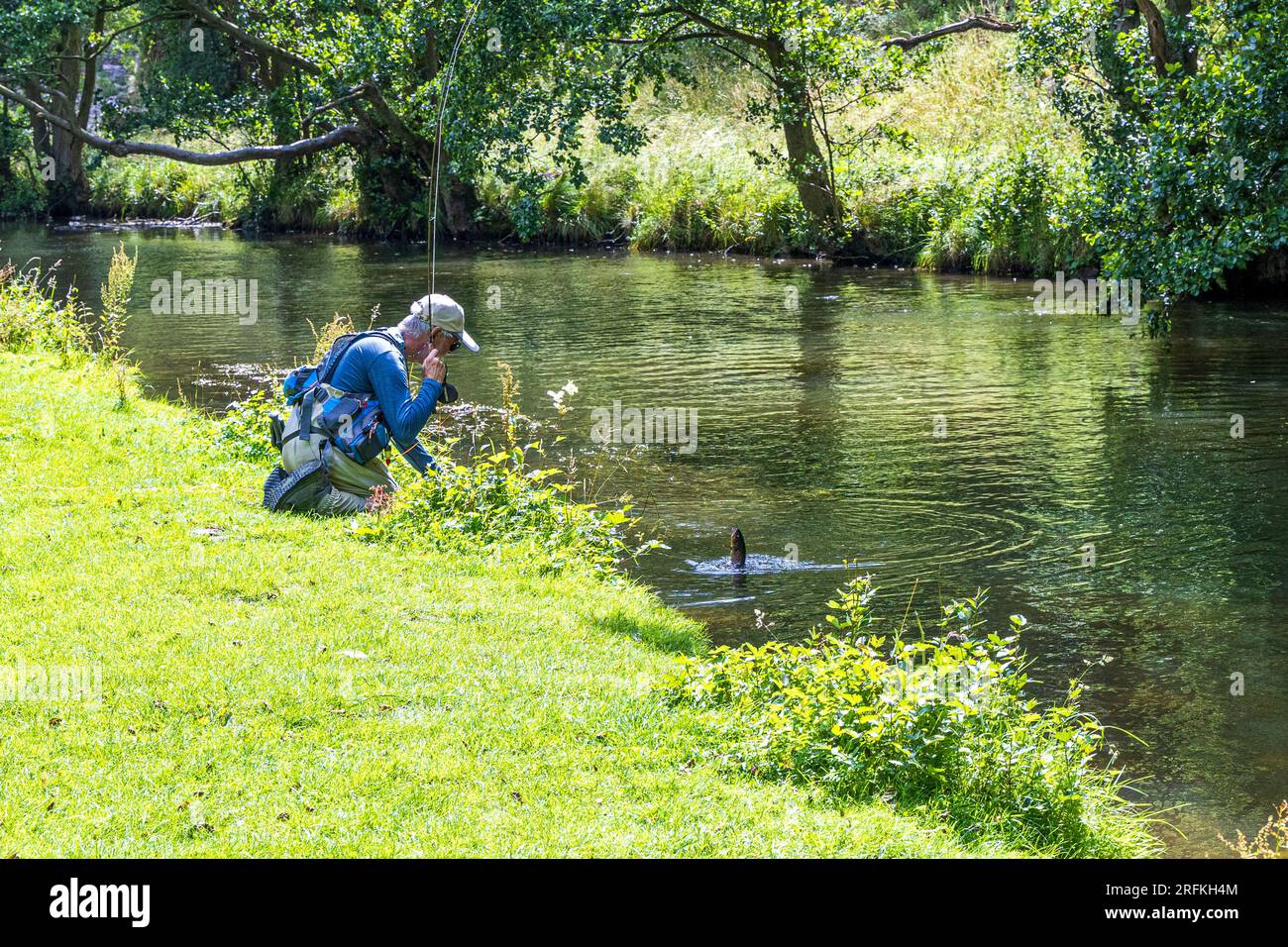 River dove, fising; pescare pesce per rimetterlo in acqua è uno sport crudele. Catturare pesce solo per mangiare è una necessità. Foto Stock