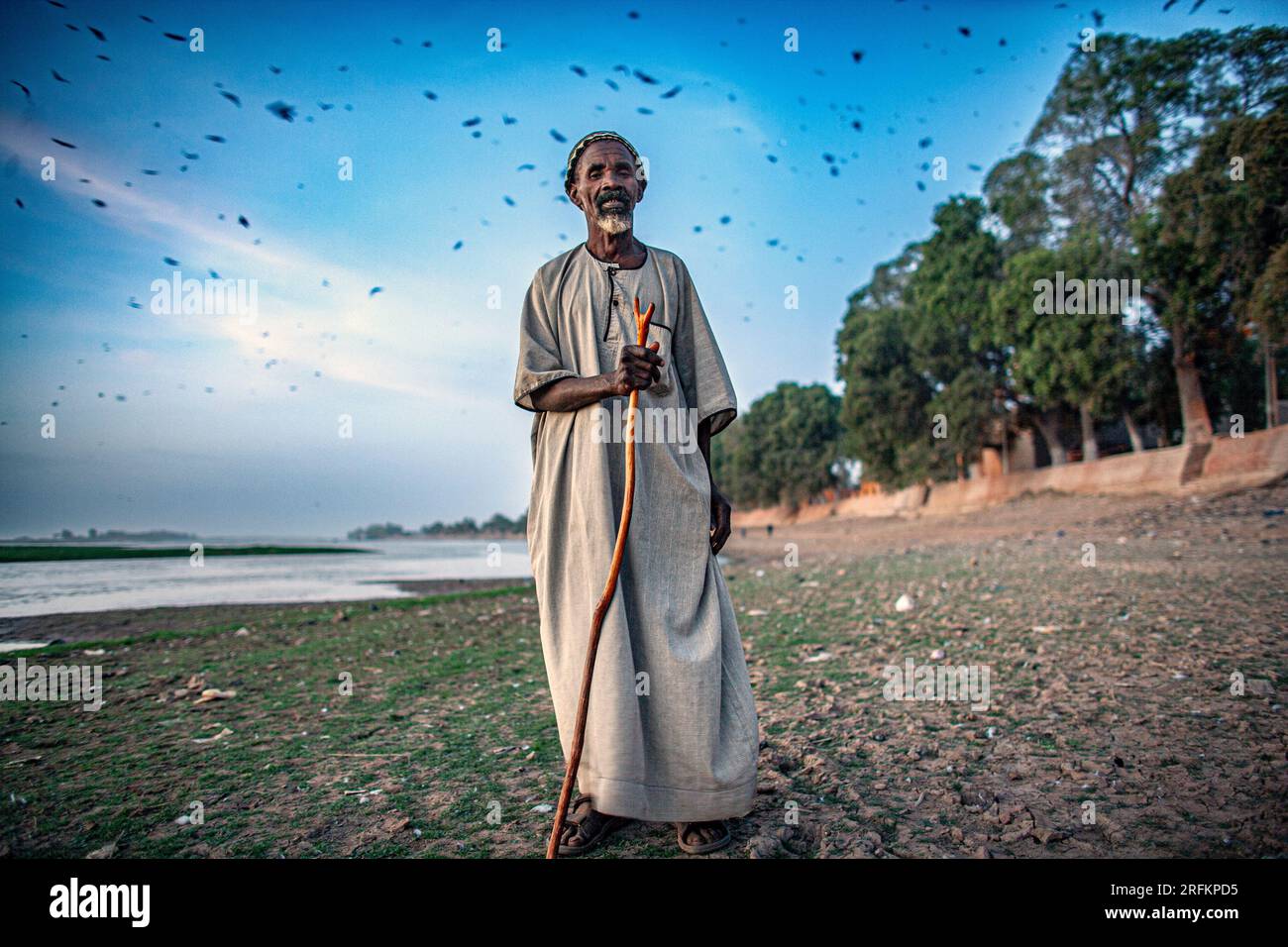 Tramonto con un narratore africano più anziano che tiene in mano un bastone da passeggio, foto sincera di persone africane reali in un ambiente naturale. Mopti, Mali, Afric Occidentale Foto Stock