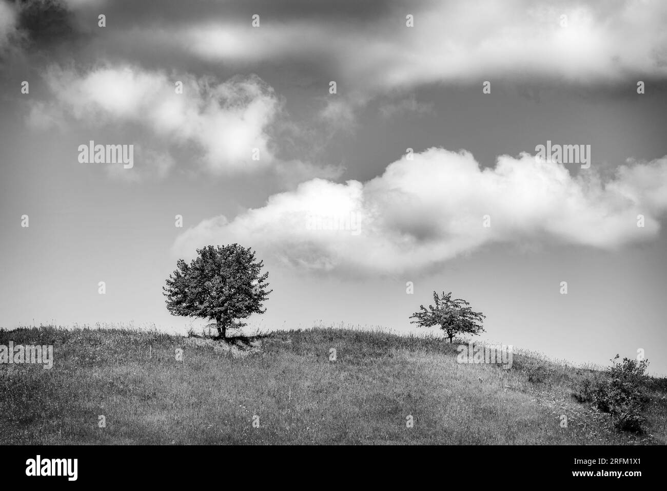 La collina di campagna in una giornata estiva piena di nuvole a Schleswig, vicino a Manitowoc, Wisconsin. Foto Stock