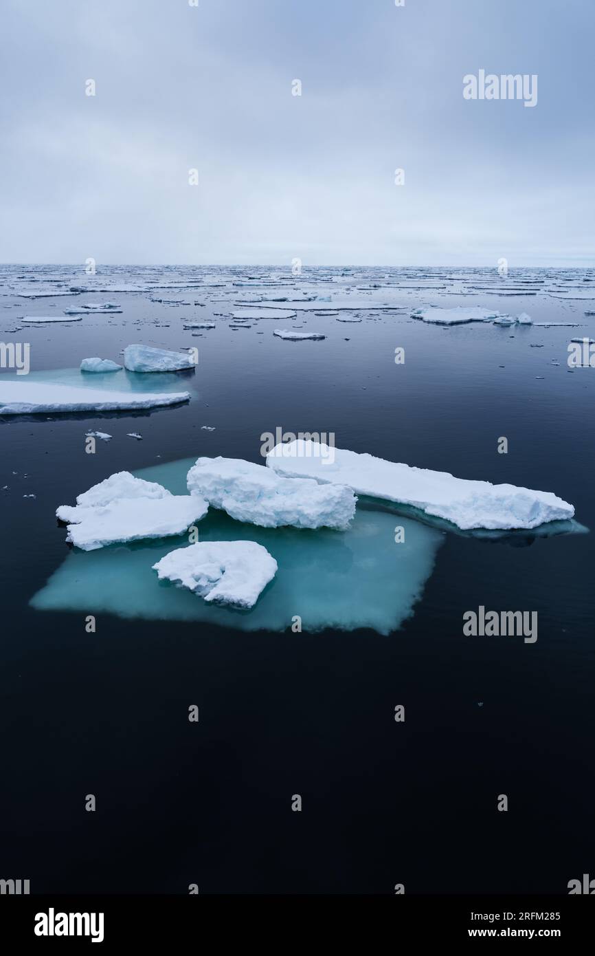 Icefloe nel mare polare nord Foto Stock