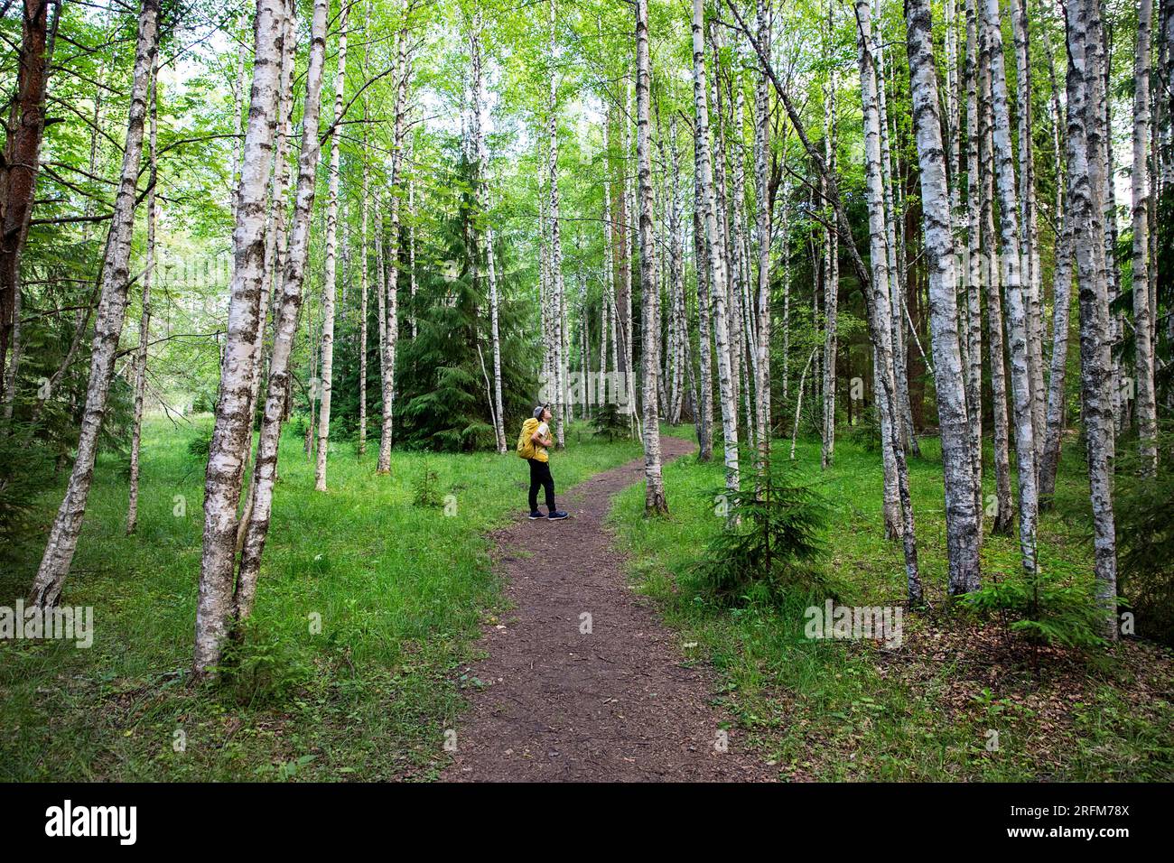 Un turista su uno spettacolare sentiero escursionistico di Hüpassaare attraverso la splendida foresta fino alla palude di Kuresoo in una splendida giornata estiva nel Parco Nazionale di Soomaa, Estonia Foto Stock