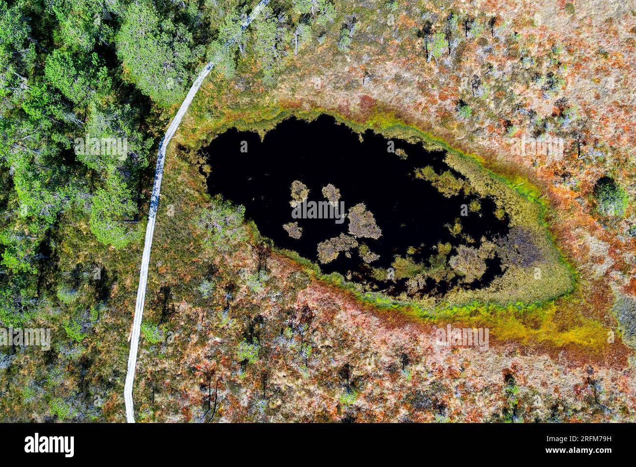 Vista aerea dello spettacolare sentiero escursionistico di Hüpassaare attraverso la foresta fino alla palude di Kuresoo in una splendida giornata estiva nel Parco Nazionale di Soomaa, Estonia Foto Stock