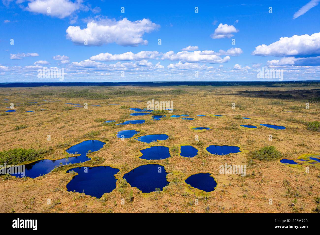 Splendida vista aerea di piccoli laghi e stagni in una palude di Kuresoo in una soleggiata giornata estiva nel Parco nazionale di Soomaa in Estonia Foto Stock