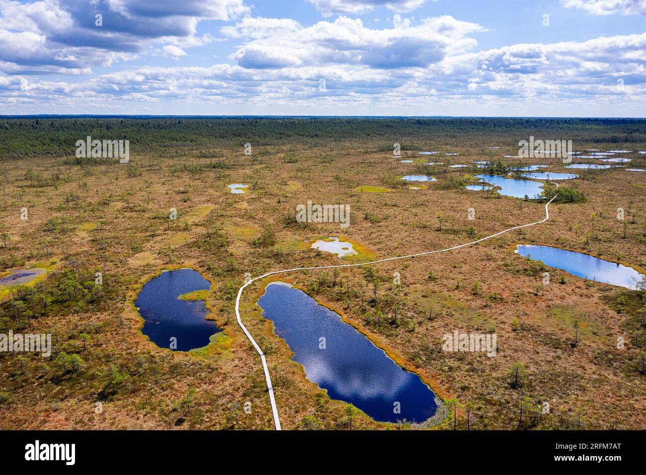 Vista aerea di uno spettacolare sentiero escursionistico di Hüpassaare fino alla palude di Kuresoo in una splendida giornata estiva nel Parco nazionale di Soomaa in Estonia Foto Stock