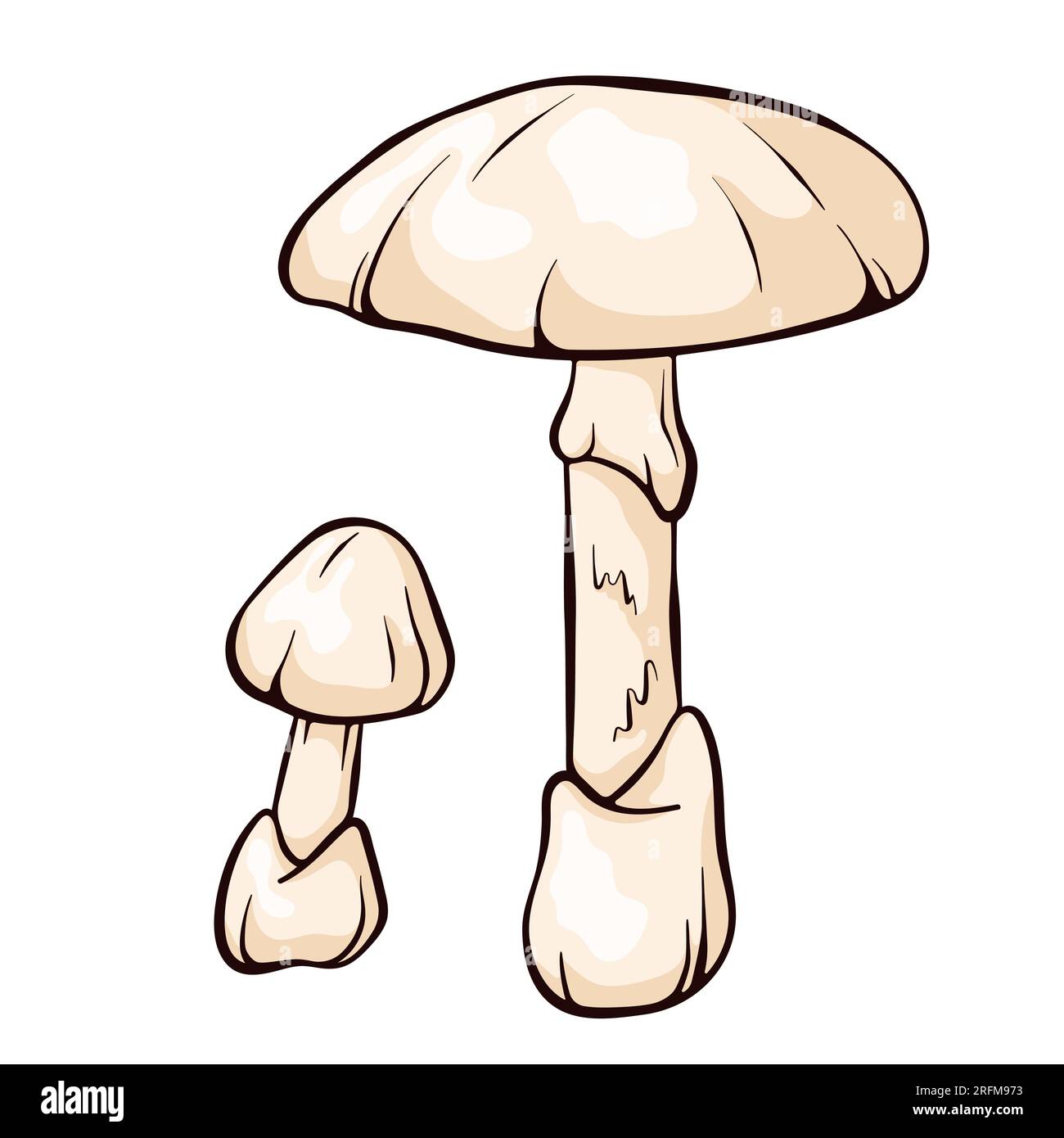 Il fungo con cappello di morte in stile cartone animato. Amanita phalloides foresta fungo velenoso, tossico, fungo velenoso mortale. Illustrazione vettoriale isolata su Illustrazione Vettoriale