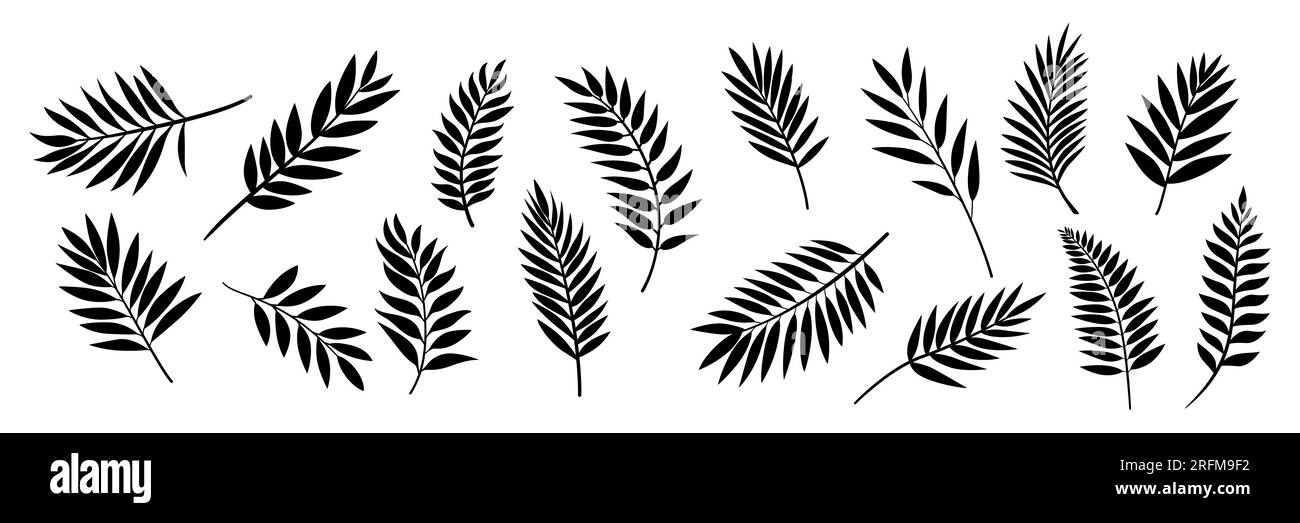 Gruppo di icone lamelle palme tropicali vettore piatto isolato. Fogliame esotico tropicale, Sprig con foglie, Tree Twig Collection. Design decorativo a foglia tropicale Illustrazione Vettoriale